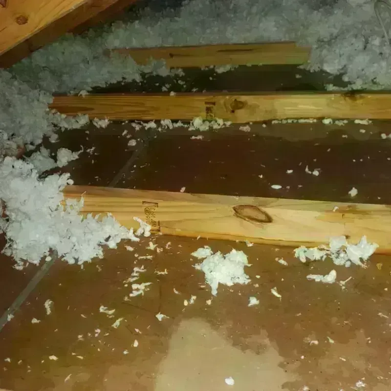 Attic Water Damage in Saunders County, NE