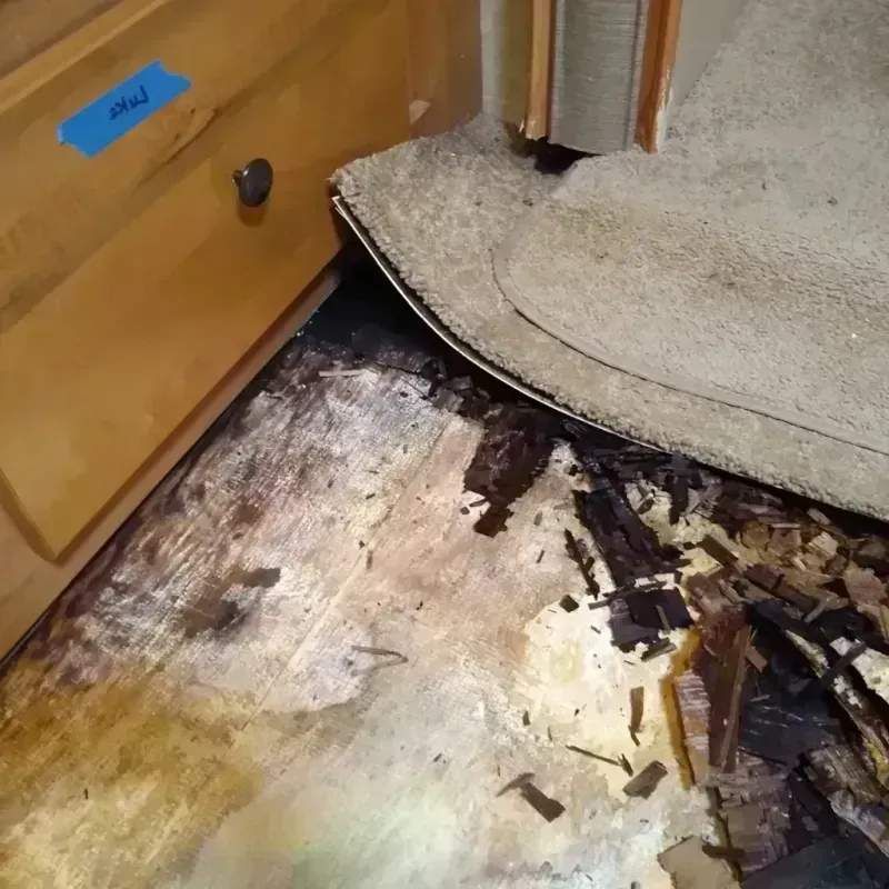 Wood Floor Water Damage in Saunders County, NE